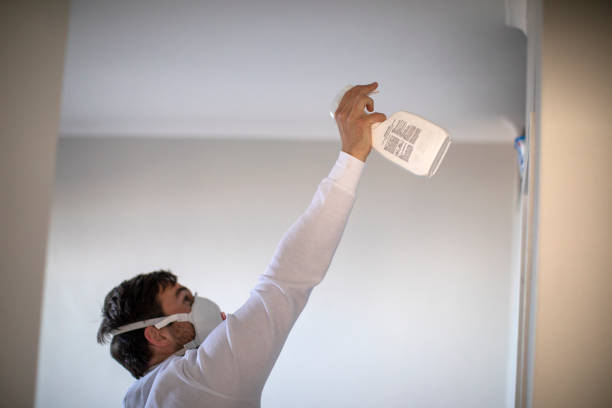 Attic Mold Removal in Mont Alto, PA