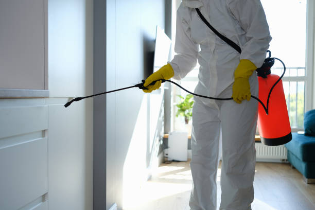 Office Mold Removal Services in Mont Alto, PA