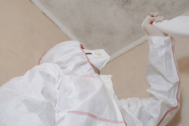 Best Water Damage Restoration  in Mont Alto, PA